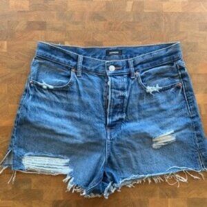 Express Mom Short - Distressed Denim 8